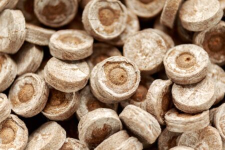 Grow an Early Garden Using Peat Moss Pellets Image